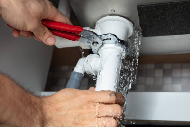 Best Water damage restoration near me  in Willard, OH