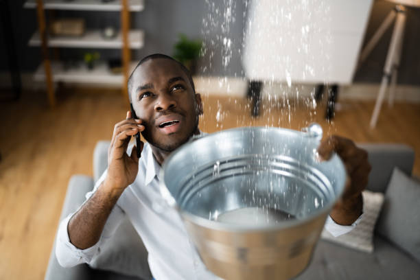 Best Residential water damage restoration  in Willard, OH