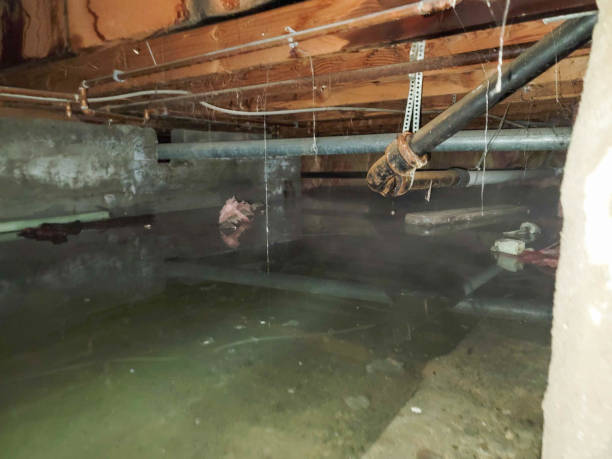  Willard, OH Water damage restoration Pros