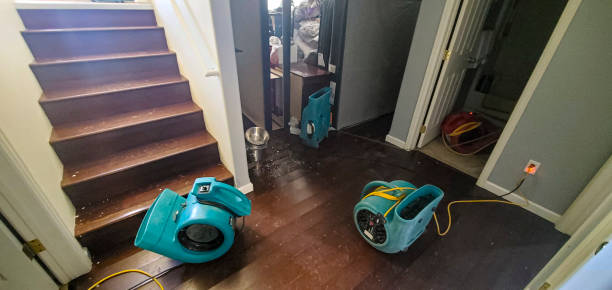 Best Carpet water damage restoration  in Willard, OH