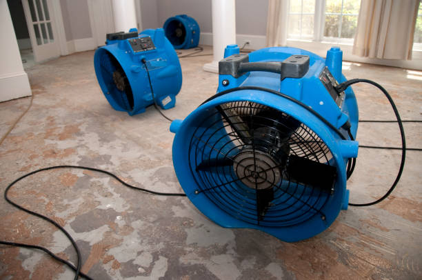Best Water damage contractors near me  in Willard, OH