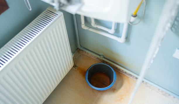 Best Ceiling water damage repair  in Willard, OH