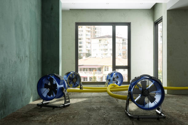 Best Sewage cleanup and water damage restoration  in Willard, OH